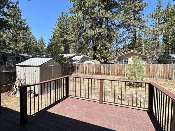 Private backyard surrounded by pines